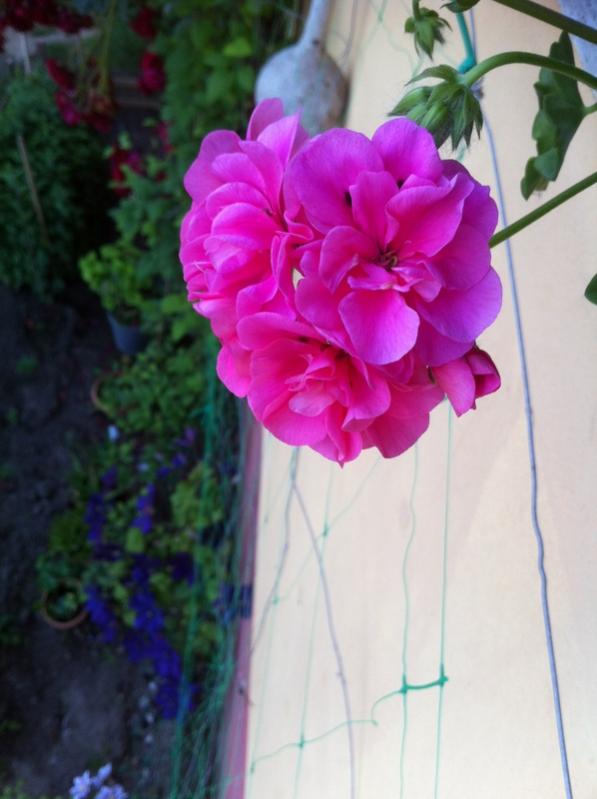 Name:  230-160.jpg
Views: 848
Size:  48.9 KB