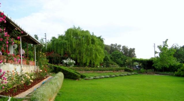 Name:  IMG_4070.jpg
Views: 1069
Size:  32.2 KB