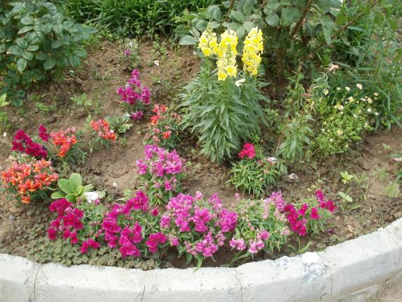 Name:  P1010091a.jpg
Views: 428
Size:  71.9 KB