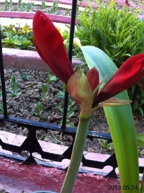 Name:  IMG_6009.jpg
Views: 453
Size:  62.8 KB