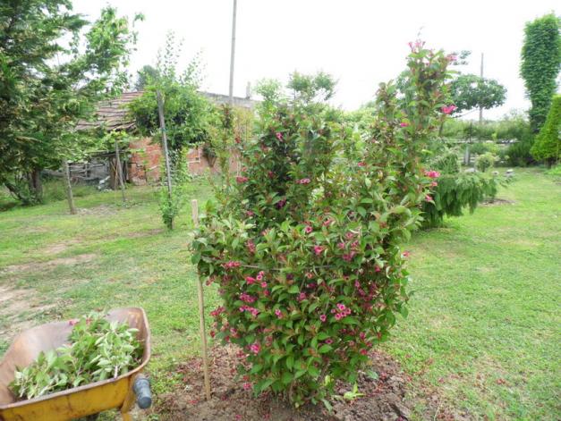 Name:  040-049.jpg
Views: 1074
Size:  70.7 KB