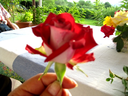 Name:  IMG_4077.JPG
Views: 933
Size:  67.1 KB