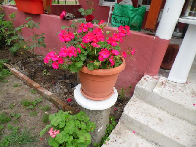 Name:  106-115.jpg
Views: 1085
Size:  56.8 KB