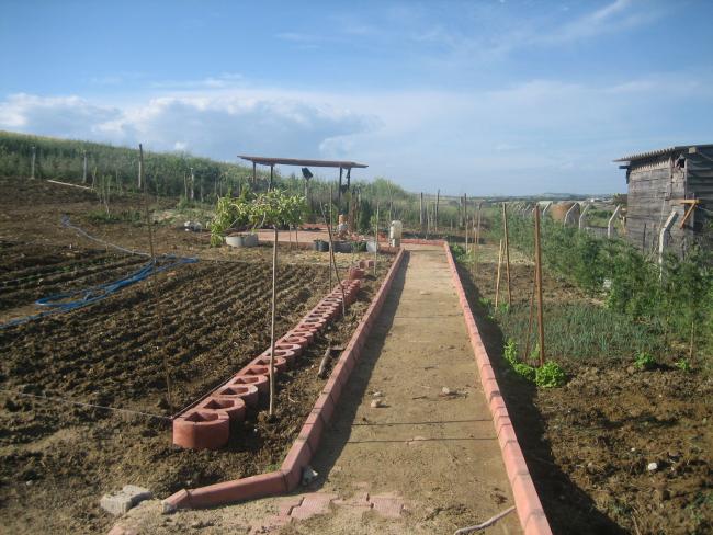 Name:  atalca 022.jpg
Views: 1184
Size:  60.7 KB