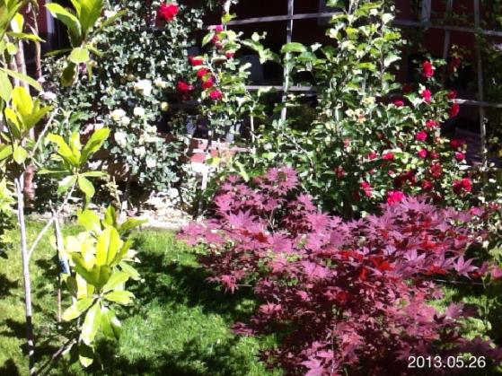 Name:  IMG_6084.jpg
Views: 447
Size:  75.0 KB