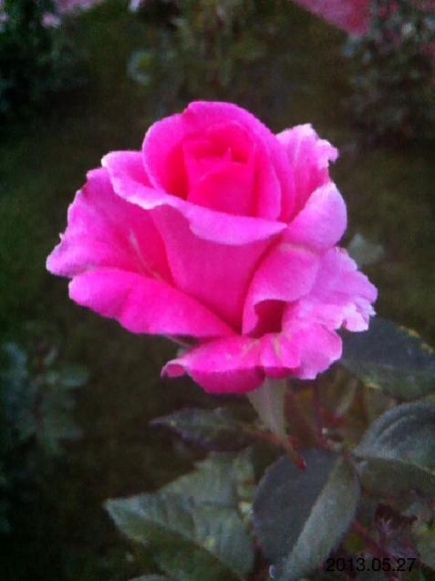 Name:  IMG_6118.jpg
Views: 415
Size:  30.7 KB
