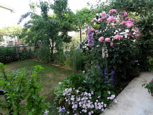 Name:  kosem.jpg
Views: 823
Size:  71.7 KB