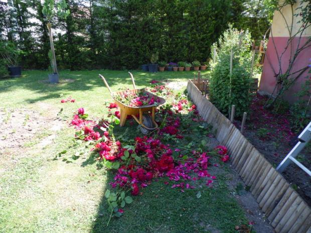 Name:  050-050.jpg
Views: 978
Size:  71.1 KB
