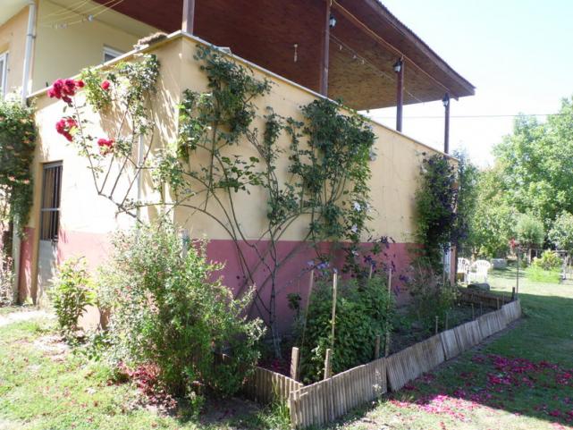 Name:  062-062.jpg
Views: 1069
Size:  71.1 KB