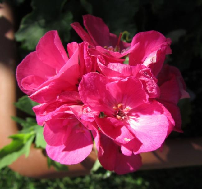 Name:  IMG_5193.jpg
Views: 489
Size:  40.7 KB