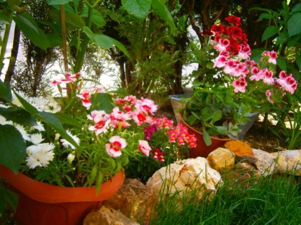 Name:  yanbahe(600 x 450).jpg
Views: 851
Size:  60.6 KB