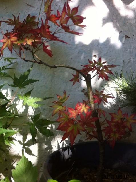 Name:  IMG_6211.jpg
Views: 408
Size:  49.2 KB