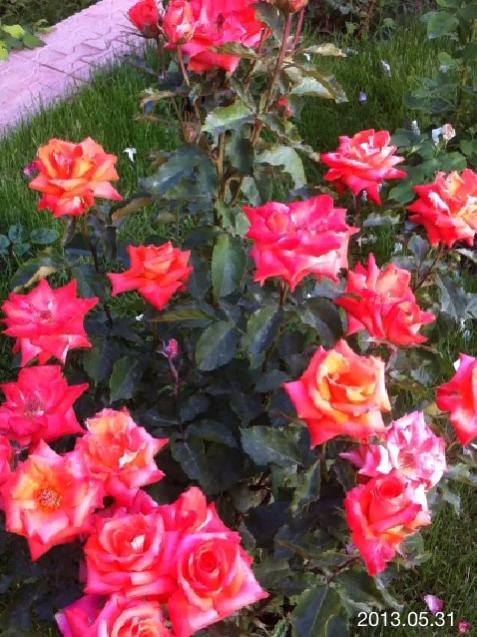 Name:  IMG_6178.jpg
Views: 416
Size:  64.2 KB