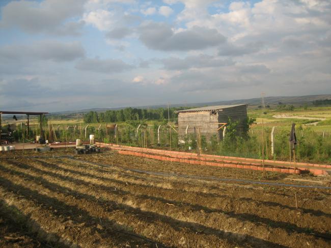 Name:  atalca 008.jpg
Views: 1060
Size:  51.5 KB
