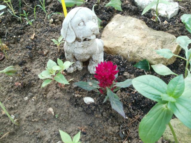 Name:  P1010082a.jpg
Views: 359
Size:  70.2 KB