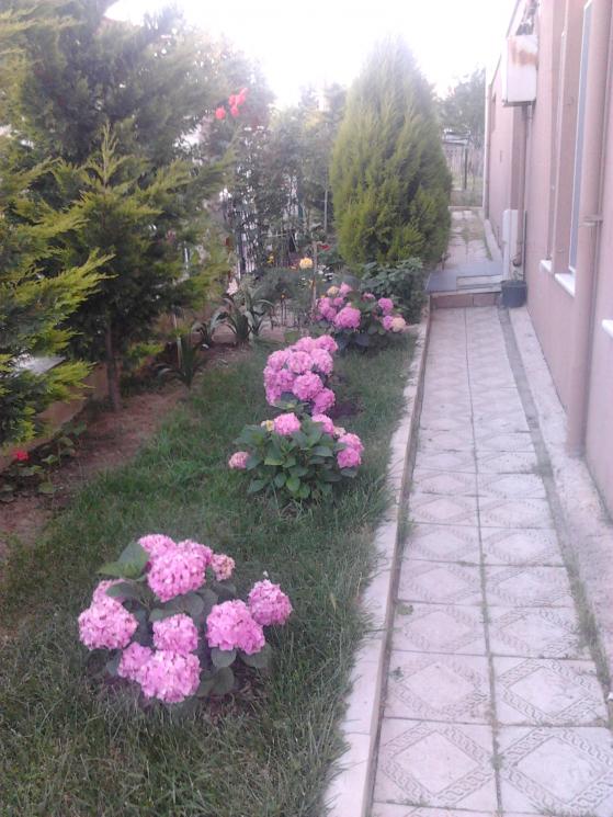 Name:  2013-06-03 19.56.43.jpg
Views: 1687
Size:  72.3 KB