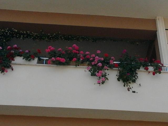 Name:  2013-06-04 16.20.13.jpg
Views: 1256
Size:  27.6 KB