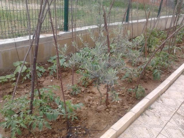 Name:  2013-06-02 15.57.35.jpg
Views: 504
Size:  64.6 KB