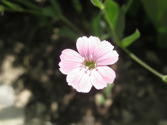 Name:  ot mudur.jpg
Views: 1080
Size:  60.8 KB