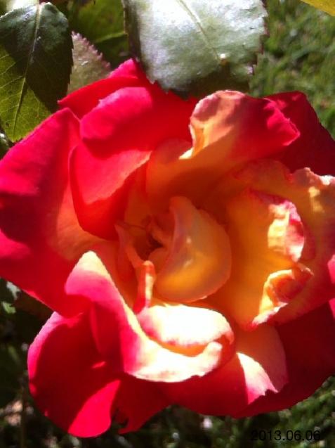 Name:  IMG_6270.jpg
Views: 378
Size:  36.0 KB