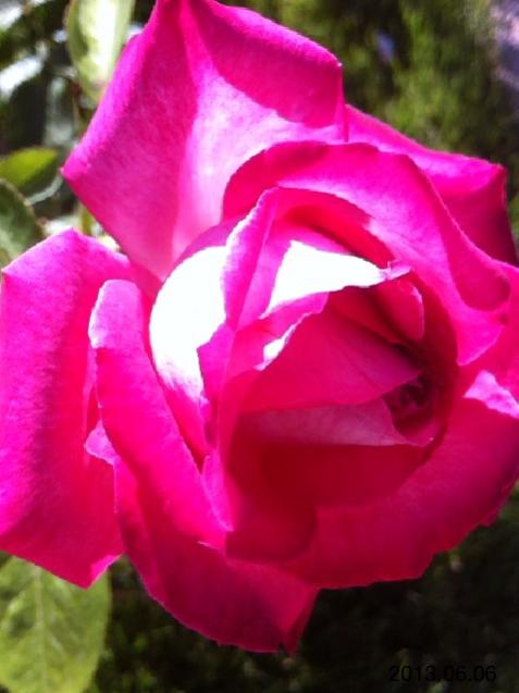 Name:  IMG_6271.jpg
Views: 375
Size:  34.5 KB