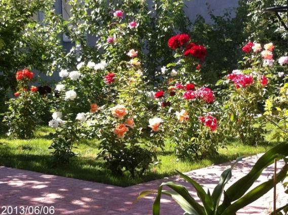 Name:  IMG_6284.jpg
Views: 375
Size:  73.4 KB