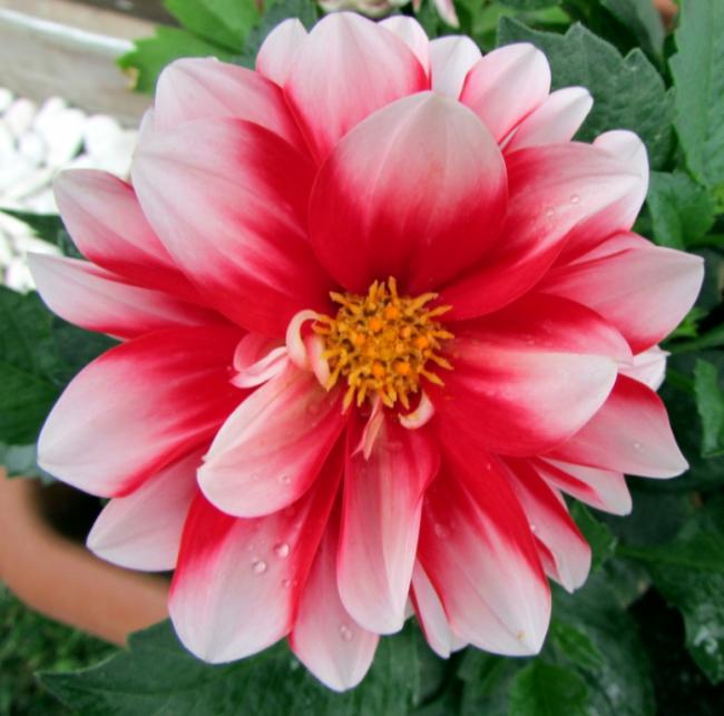 Name:  IMG_5800.jpg
Views: 493
Size:  48.0 KB