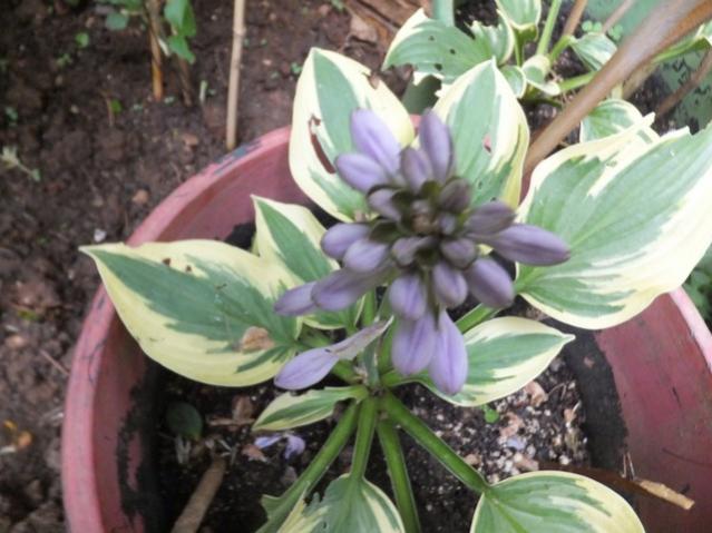 Name:  DSCF5386.jpg
Views: 256
Size:  46.8 KB