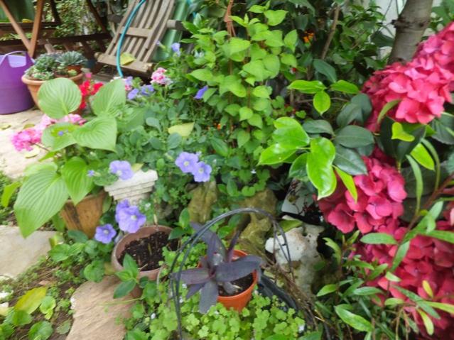 Name:  DSCF5410.jpg
Views: 245
Size:  66.2 KB