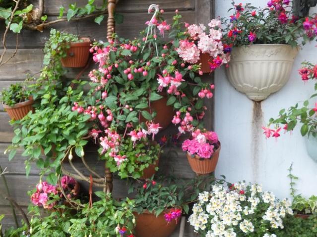 Name:  DSCF5450.jpg
Views: 178
Size:  66.4 KB