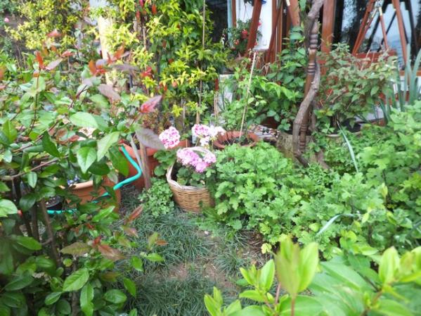 Name:  DSCF5471.jpg
Views: 381
Size:  73.2 KB