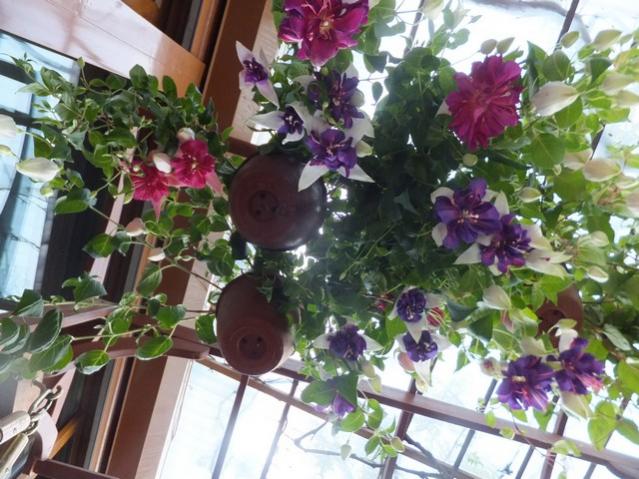 Name:  DSCF5542.jpg
Views: 267
Size:  62.2 KB