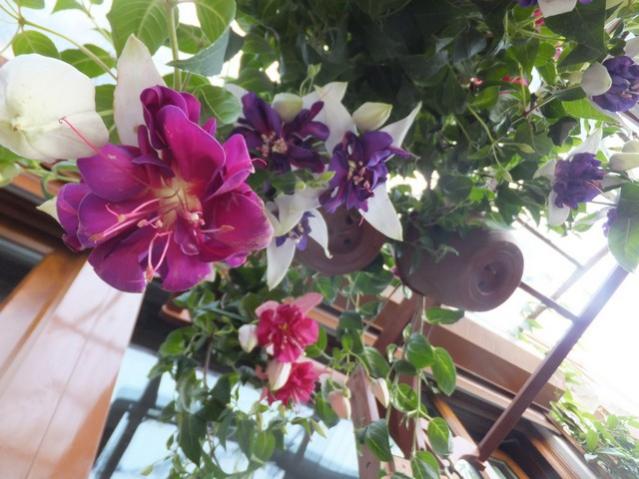 Name:  DSCF5546.jpg
Views: 287
Size:  52.1 KB