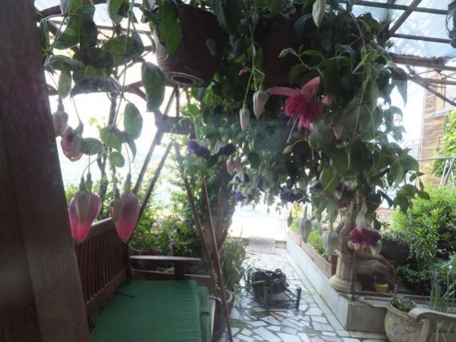 Name:  DSCF5553.jpg
Views: 277
Size:  52.9 KB