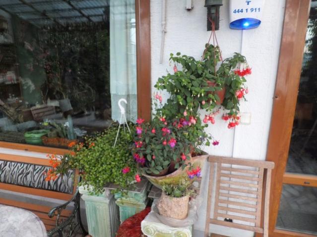 Name:  DSCF5622.jpg
Views: 380
Size:  51.1 KB