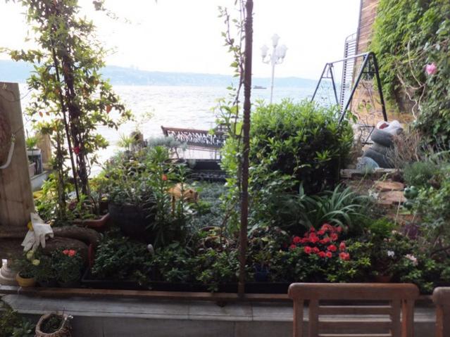 Name:  DSCF5626.jpg
Views: 390
Size:  59.6 KB