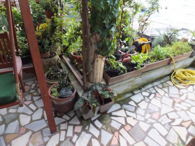 Name:  DSCF5629.jpg
Views: 399
Size:  60.7 KB
