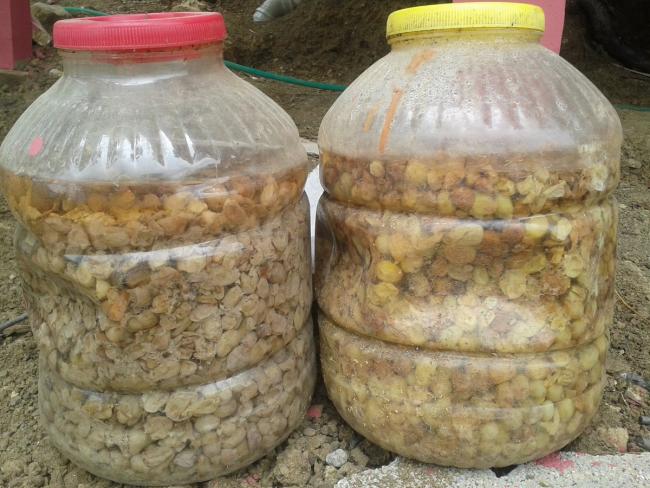 Name:  zm sirkesi (Kopyala).jpg
Views: 2809
Size:  58.3 KB