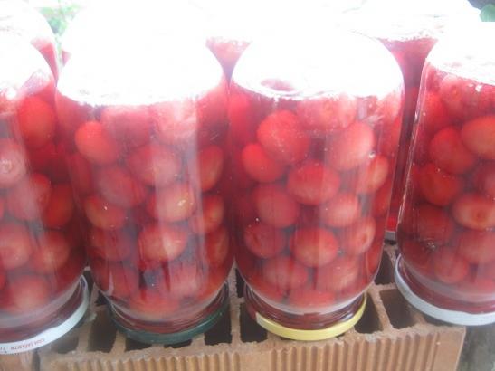 Name:  konserve1.jpg
Views: 1484
Size:  24.8 KB