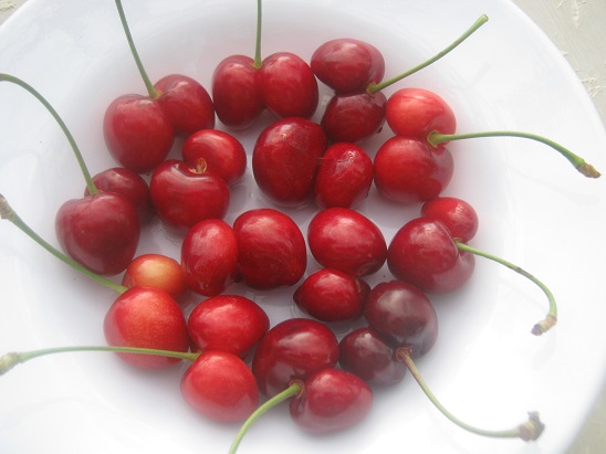 Name:  ikiz kirazlar.jpg
Views: 1399
Size:  68.9 KB