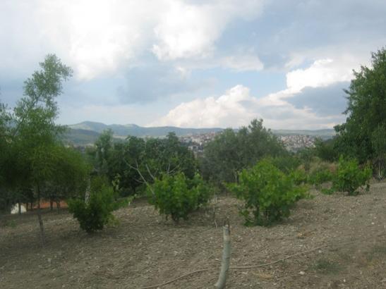 Name:  bulutlar asmalar ve zeytinler.jpg
Views: 1383
Size:  29.5 KB