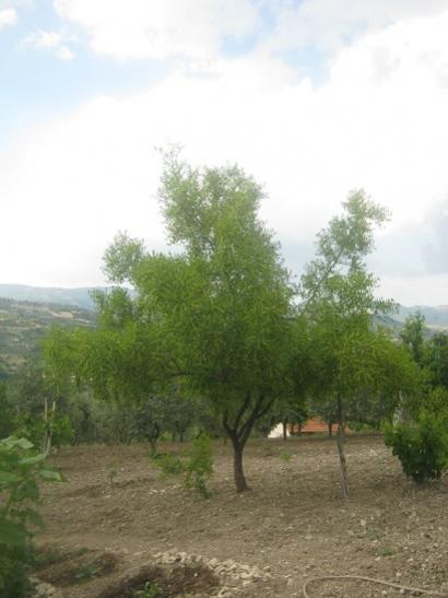 Name:  hnnap.jpg
Views: 1448
Size:  29.2 KB