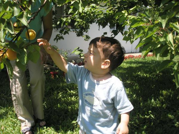 Name:  yeni resimler 273.jpg
Views: 1578
Size:  61.5 KB