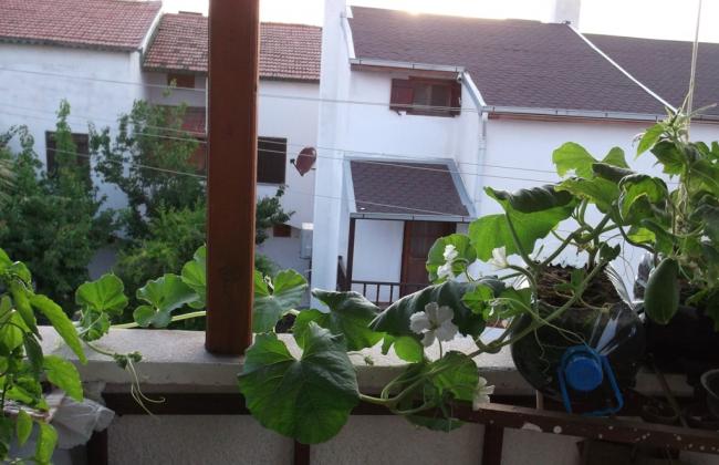 Name:  DSCF3225.jpg
Views: 739
Size:  46.5 KB