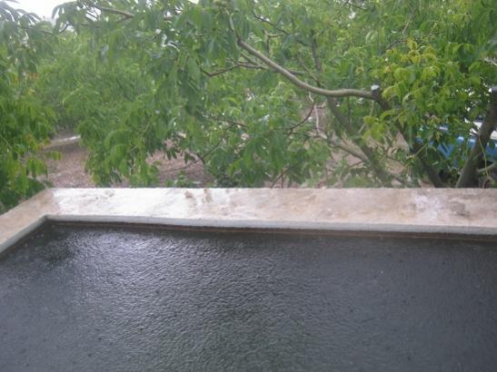 Name:  hzl y..jpg
Views: 1240
Size:  39.2 KB