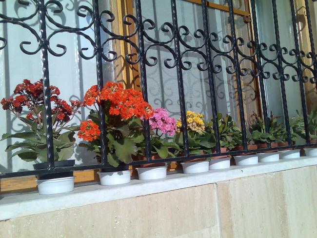 Name:  Grnt175.jpg
Views: 301
Size:  68.6 KB
