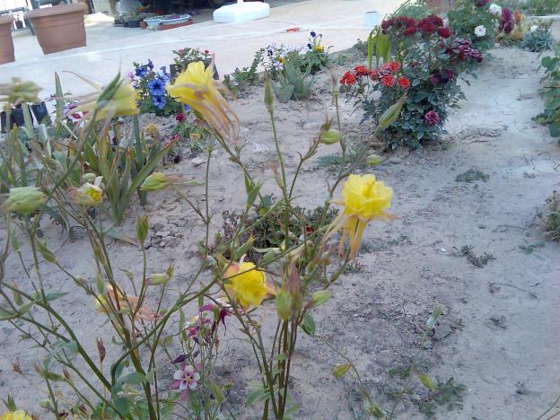 Name:  Grnt188.jpg
Views: 297
Size:  70.3 KB