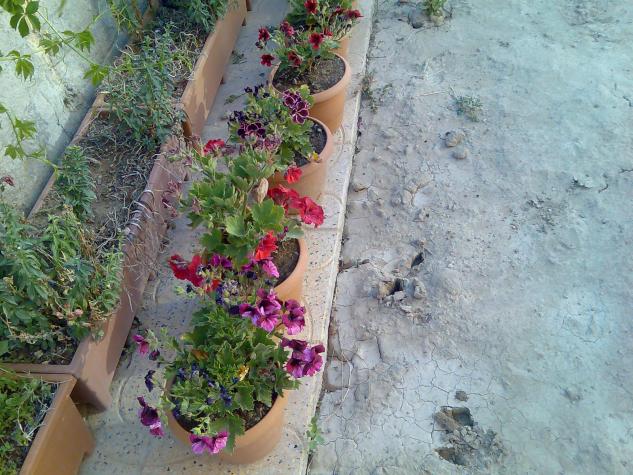 Name:  Grnt193.jpg
Views: 302
Size:  70.4 KB