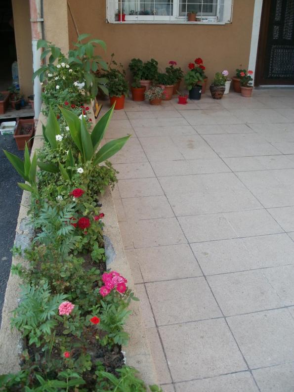 Name:  P1010149a.jpg
Views: 370
Size:  71.1 KB