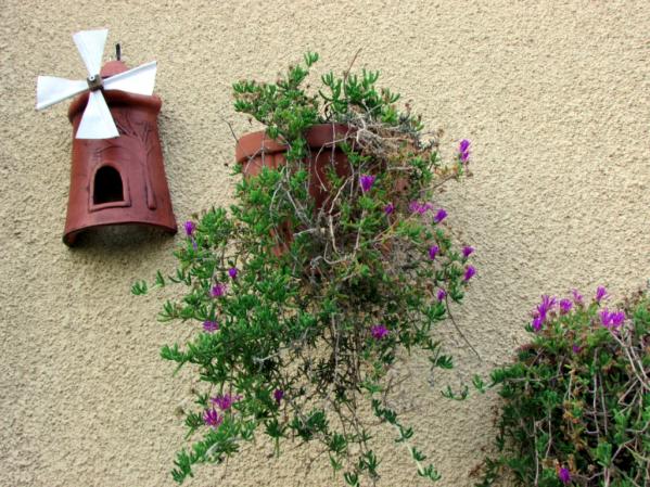Name:  IMG_6829.jpg
Views: 633
Size:  71.8 KB